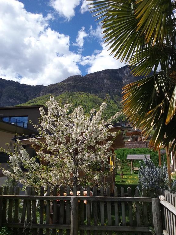 Wiesmuellerhof Caldaro Εξωτερικό φωτογραφία