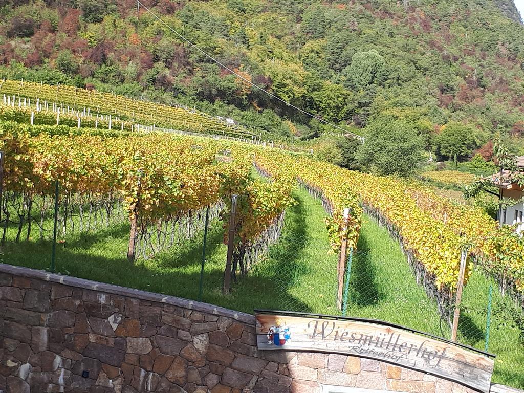 Wiesmuellerhof Caldaro Εξωτερικό φωτογραφία